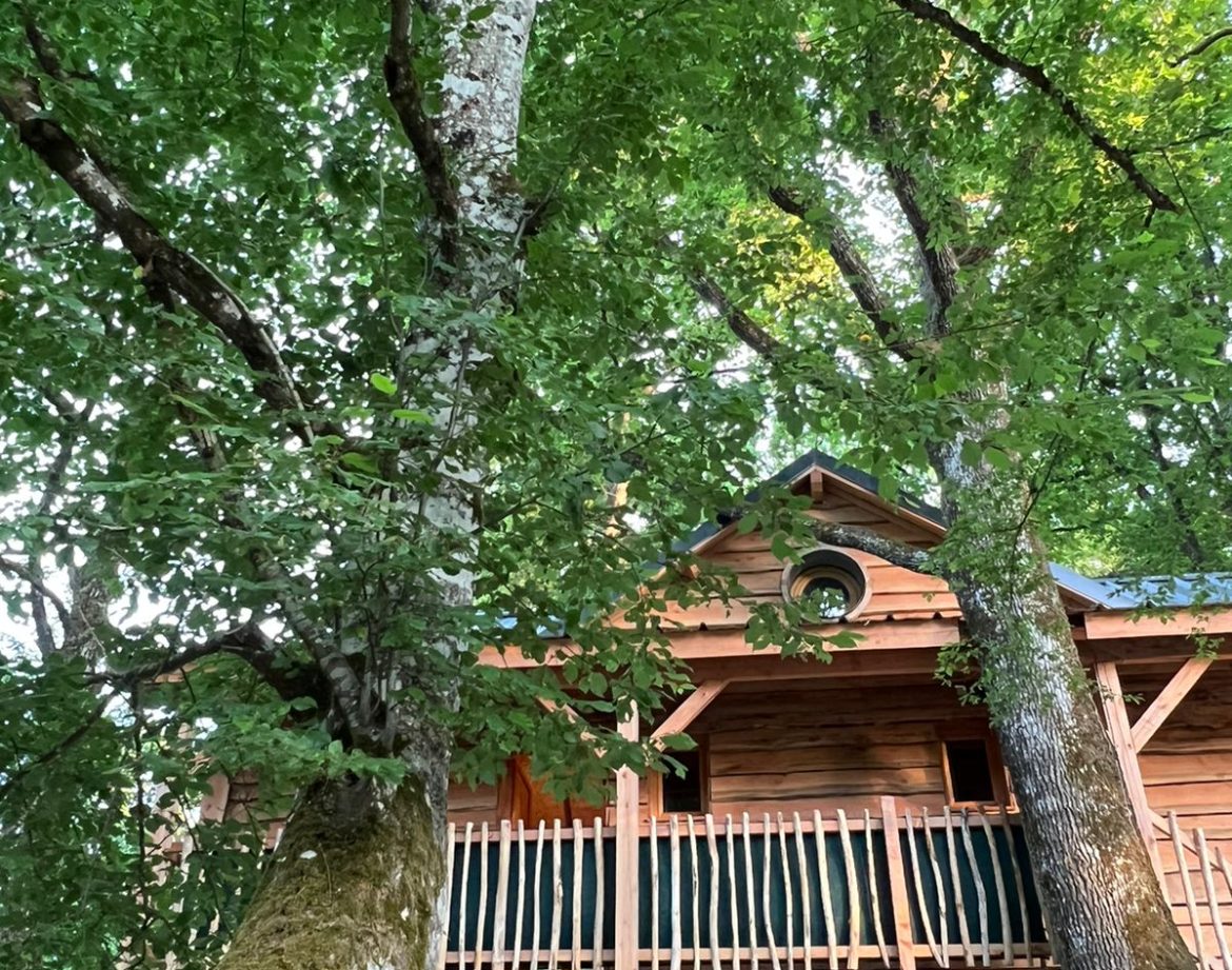 Cabane perchée dans les arbres, entourée de feuillage verdoyant.