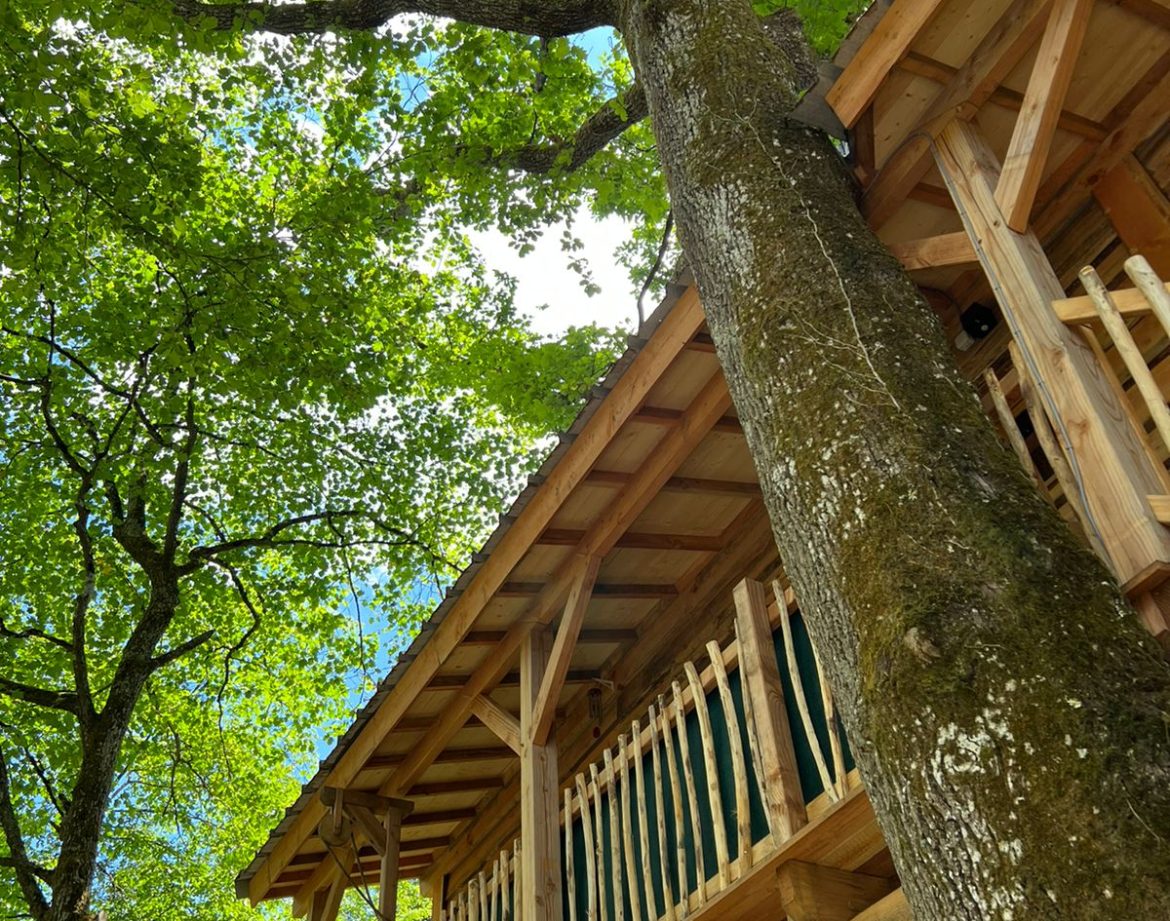 Cabane perchée dans les arbres, entourée de verdure et de lumière naturelle.