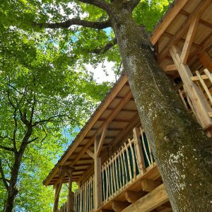 Cabane perchée dans les arbres, entourée de verdure et de lumière naturelle.