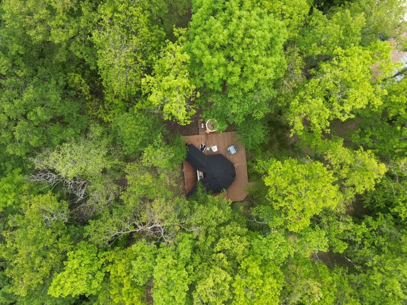 Cabane en bois entourée darbres verdoyants, avec terrasse en bois.