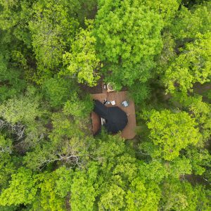 Cabane moderne en bois, nichée au cœur dune forêt verdoyante en Île-de-France.