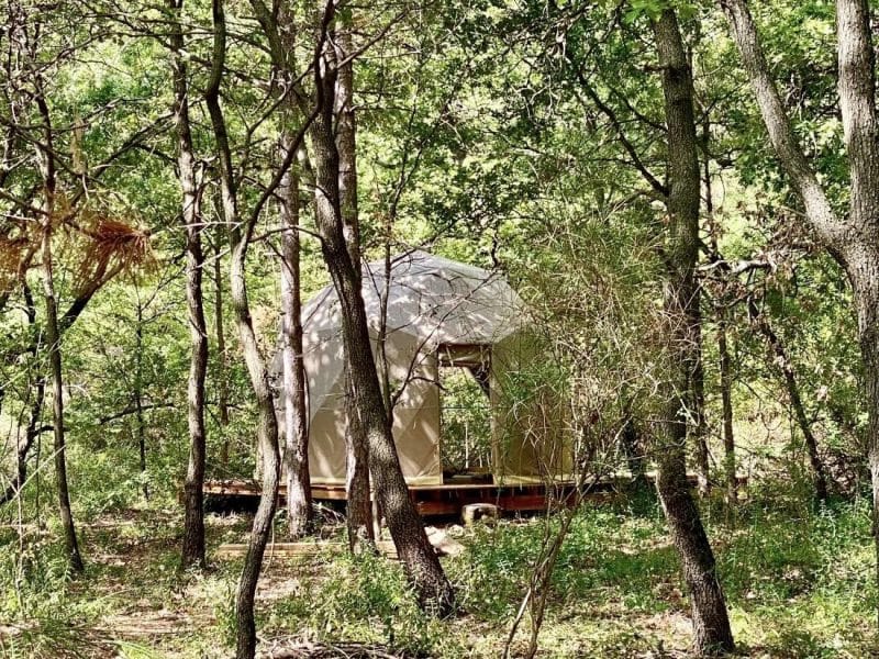 Dôme en toile niché dans les arbres, offrant une expérience nature unique.