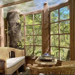 Cabane en bois avec vue sur la nature, entourée de grandes fenêtres et dun arbre central.