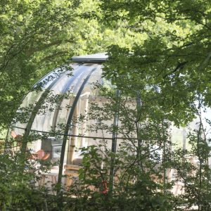 Hébergement insolite en Bretagne : bulle transparente entourée darbres verdoyants.