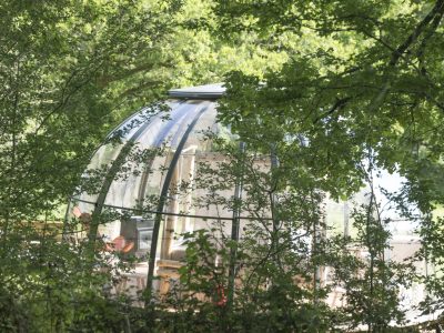 Hébergement insolite en Bretagne : bulle transparente entourée darbres verdoyants.