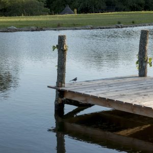 Hébergement insolite en Bretagne : cabane sur pilotis au bord dun étang paisible.