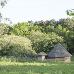 Hébergement insolite en Bretagne : cabane en bois avec toit de chaume, entourée de verdure.