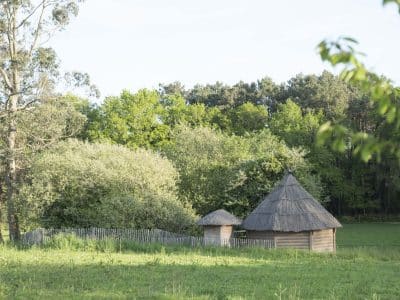 Hébergement insolite en Bretagne : cabane en bois avec toit de chaume, entourée de verdure.