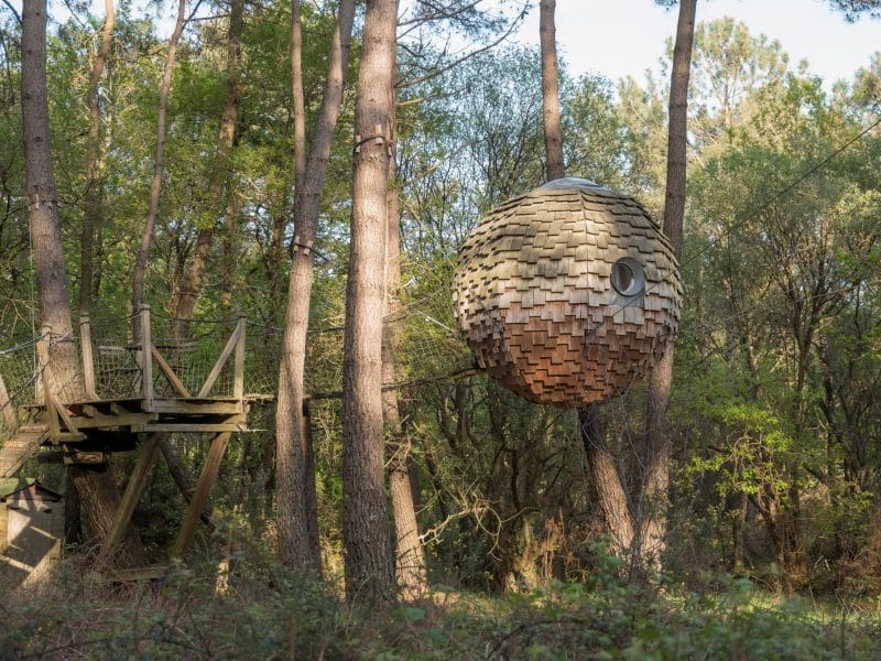 Cabane perchée en bois, suspendue entre les arbres, offrant une vue sur la forêt.