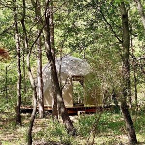 Dôme en bois niché dans la forêt, offrant une expérience unique en Languedoc-Roussillon.