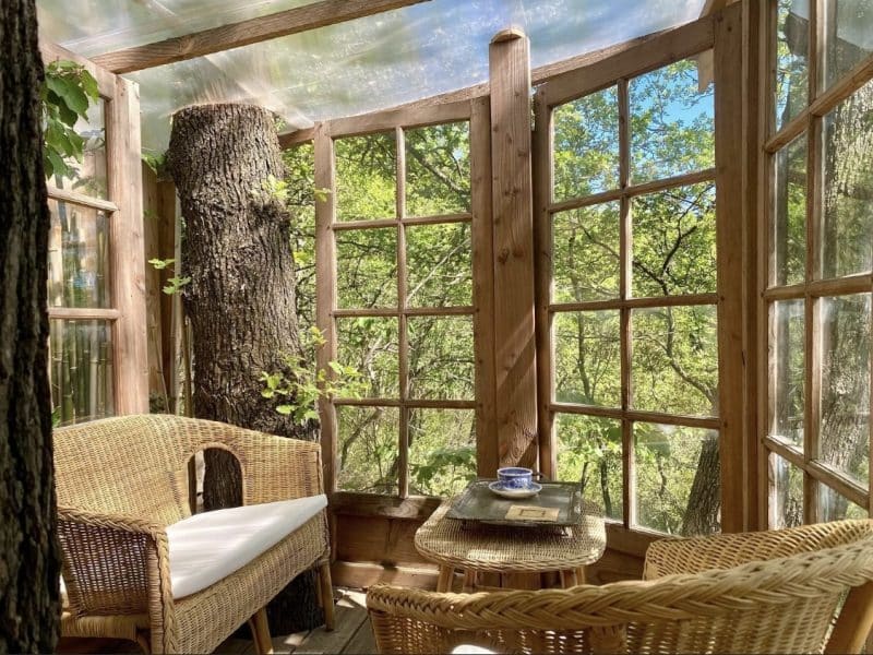 Cabane en bois avec grandes fenêtres, offrant une vue sur la nature verdoyante.