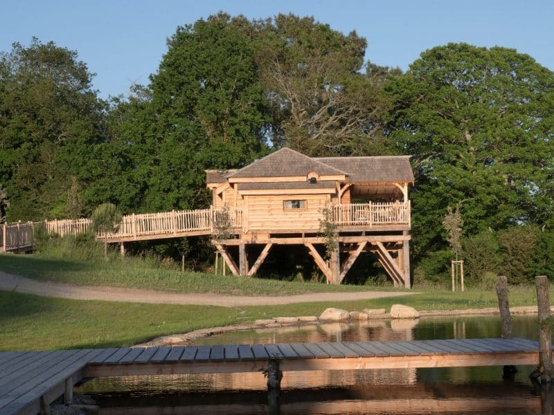Cabane en bois sur pilotis, entourée de verdure et proche dun plan deau.