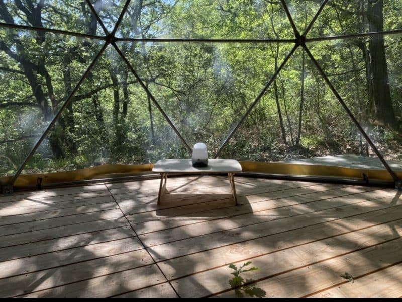 Dôme géodésique en pleine nature, avec une vue sur la forêt verdoyante.