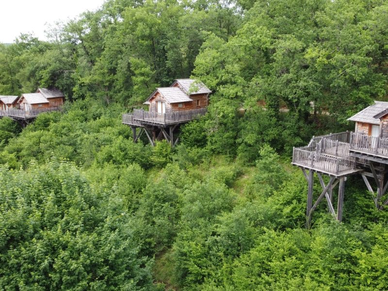 Cabines perchées dans les arbres, entourées dune verdure luxuriante.