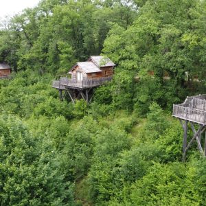 Cabines perchées en bois dans les arbres, entourées de verdure luxuriante en Aquitaine.