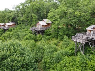Cabines perchées en bois dans les arbres, entourées de verdure luxuriante en Aquitaine.