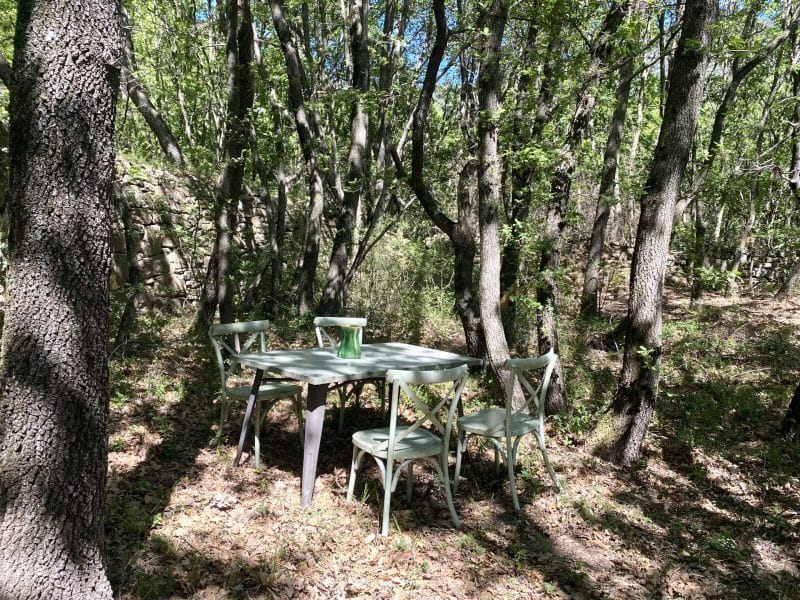 Table et chaises en bois dans un cadre forestier paisible, idéal pour un séjour nature.