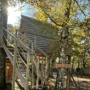 Cabane perchée dans les arbres, entourée de feuillage doré en Auvergne-Rhône-Alpes.