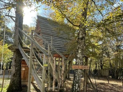 Cabane perchée dans les arbres, entourée de feuillage doré en Auvergne-Rhône-Alpes.
