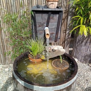 Hébergement insolite à Midi-Pyrénées, avec un bassin décoratif en tonneau et plantes.