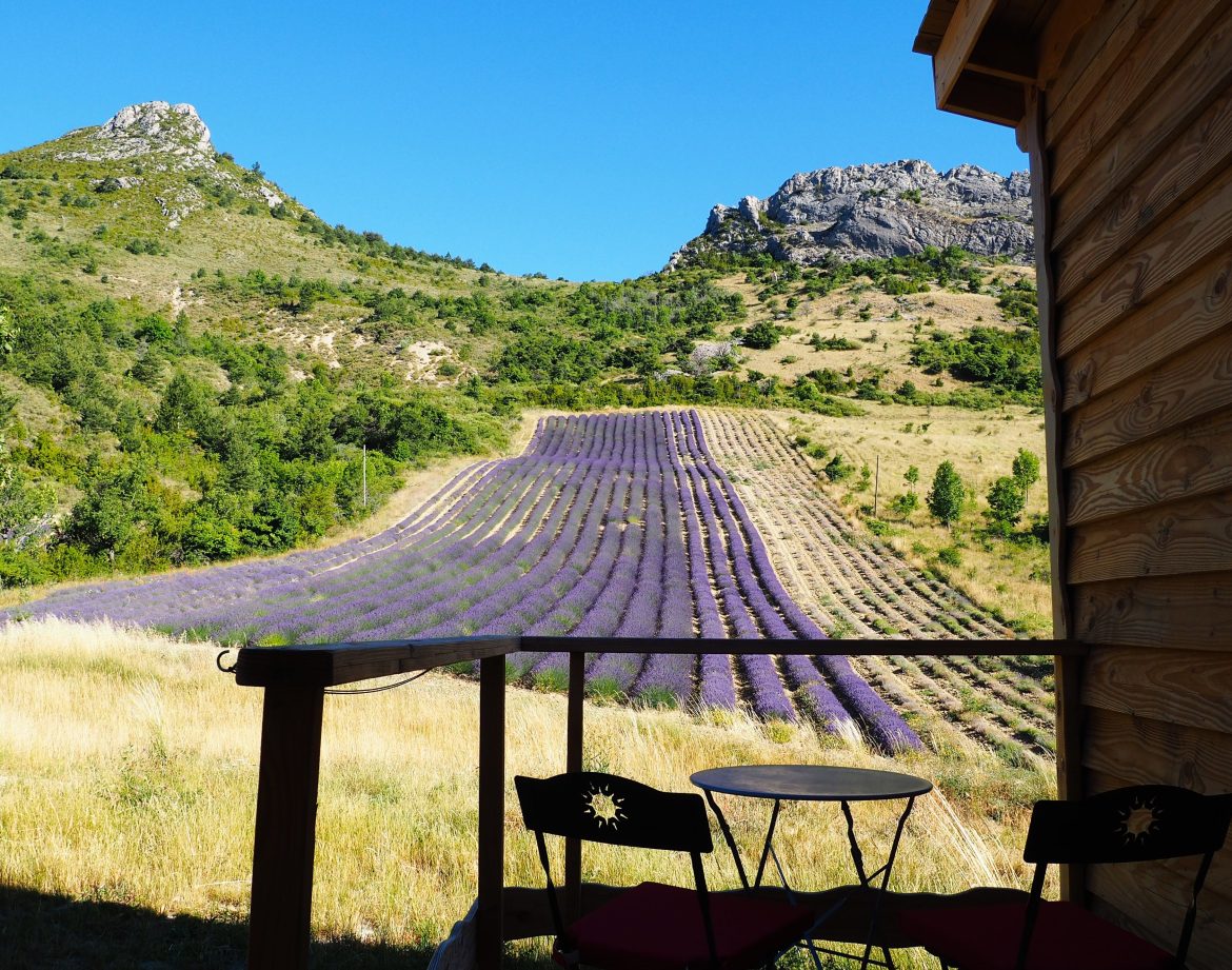 Cabane en bois avec vue sur des champs de lavande en fleurs en Auvergne-Rhône-Alpes.