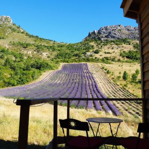Cabane en bois avec vue sur des champs de lavande en fleurs en Auvergne-Rhône-Alpes.