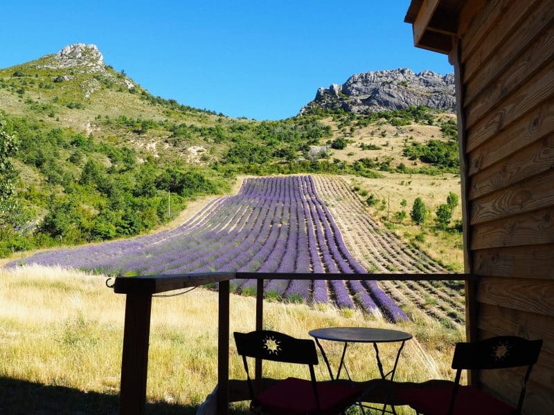 Chalet en bois avec vue sur des champs de lavande et montagnes en arrière-plan.