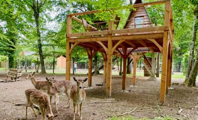 Cabane des Cerfs