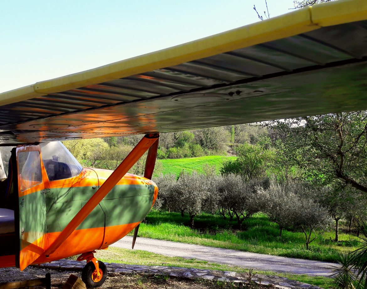 Hébergement insolite en avion coloré, entouré de verdure et darbres.