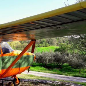 Hébergement insolite en avion coloré, entouré de verdure et darbres.