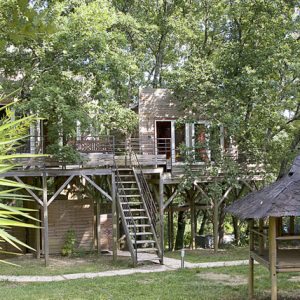 Cabane perchée dans les arbres, entourée de verdure, avec terrasse et accès par échelle.