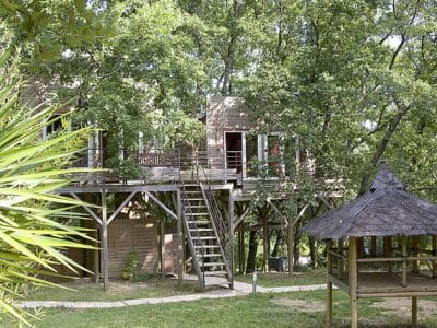 Cabane perchée dans les arbres, entourée de verdure, avec terrasse et accès par échelle.