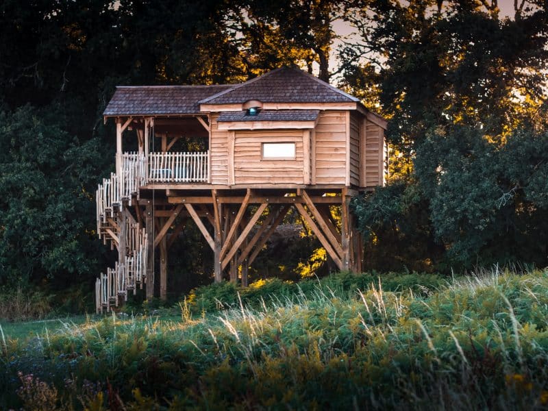 Cabane perchée en bois, entourée de verdure, offrant une vue imprenable sur la nature.
