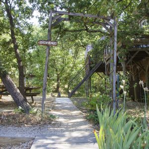 Cabane perchée en bois, entourée darbres, avec un chemin daccès accueillant.