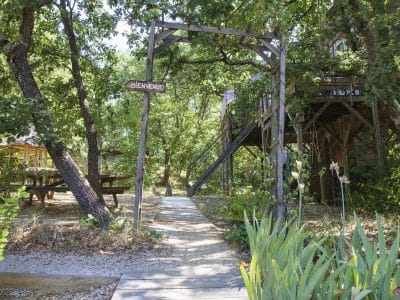 Cabane perchée en bois, entourée darbres, avec un chemin daccès accueillant.