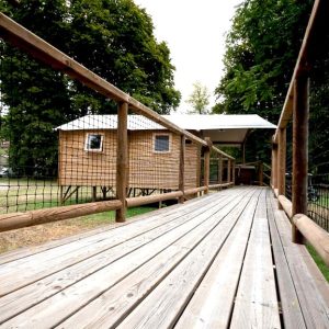 Cabane perchée en Champagne-Ardenne, accessible par une passerelle en bois.