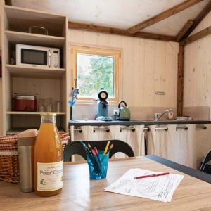 Hébergement insolite en Champagne-Ardenne : intérieur en bois avec cuisine équipée et vue sur la