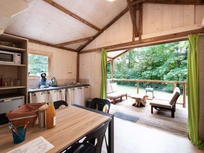 Cabane en bois à Champagne-Ardennes avec terrasse et vue sur la forêt verdoyante.