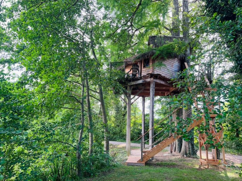 Cabane perchée dans les arbres, entourée de verdure luxuriante en Auvergne-Rhône-Alpes.