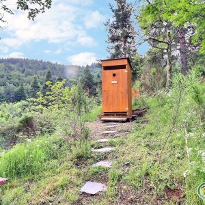 Cabane en bois dans la nature, entourée de verdure et de fleurs sauvages.