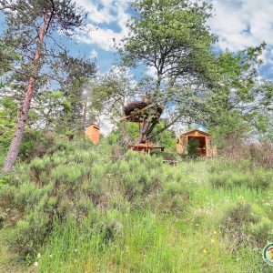 Cabane perchée dans les arbres, entourée de verdure et de fleurs sauvages.