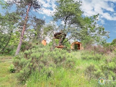 Cabane perchée dans les arbres, entourée de verdure et de fleurs sauvages.