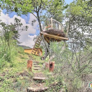 Cabane perchée dans les arbres, entourée de verdure et dun chemin en bois.