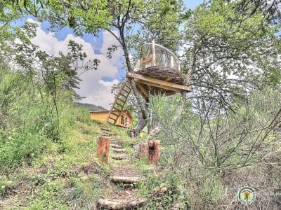 Cabane perchée dans les arbres, entourée de verdure et dun chemin en bois.