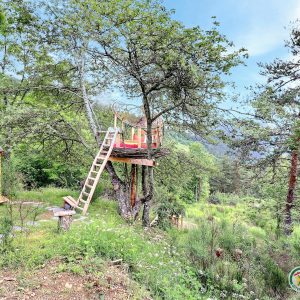 Cabane perchée dans un arbre, entourée de verdure en Auvergne-Rhône-Alpes.