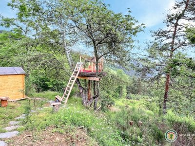 Cabane perchée dans un arbre, entourée de verdure en Auvergne-Rhône-Alpes.