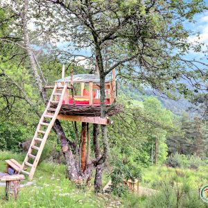 Cabane perchée dans un arbre, entourée de verdure, offrant une vue imprenable.