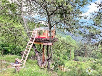 Cabane perchée dans un arbre, entourée de verdure, offrant une vue imprenable.