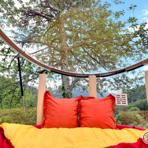 Hébergement insolite en bulle transparente, offrant une vue imprenable sur la nature.