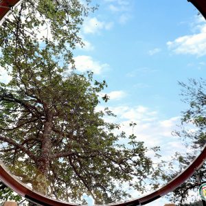 Hébergement insolite en Auvergne-Rhône-Alpes, vue circulaire sur le ciel et les arbres.